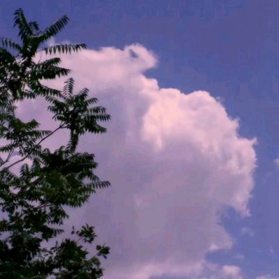 大发彩票官方官方平台app手机app下载